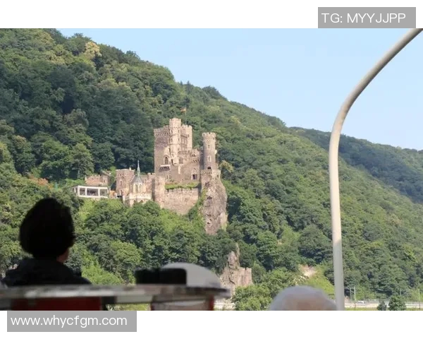 德国与奥地利精彩赛事直播全程回顾与分析尽在这里 德国与奥地利精彩赛事直播全程回顾与分析尽在这里