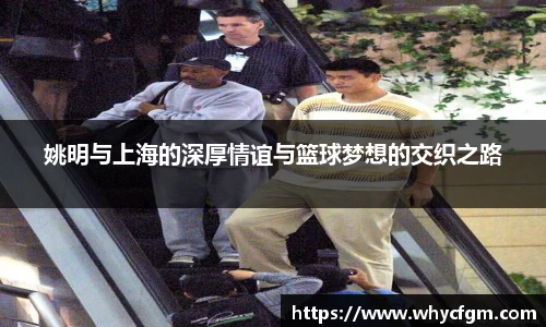 YY易游体育