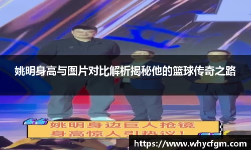 YY易游体育网址