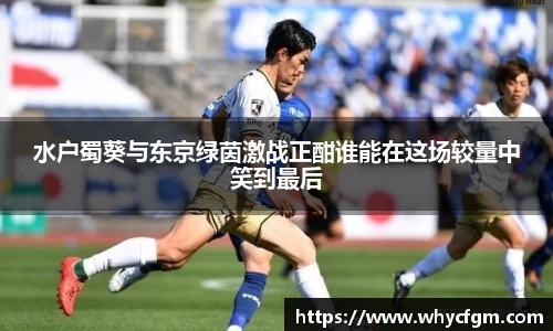 YY易游
